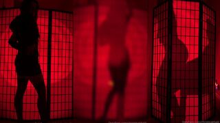 Christina Khalil's hot sex tape: Moaning vibes behind opaque wall - leaked sex video!